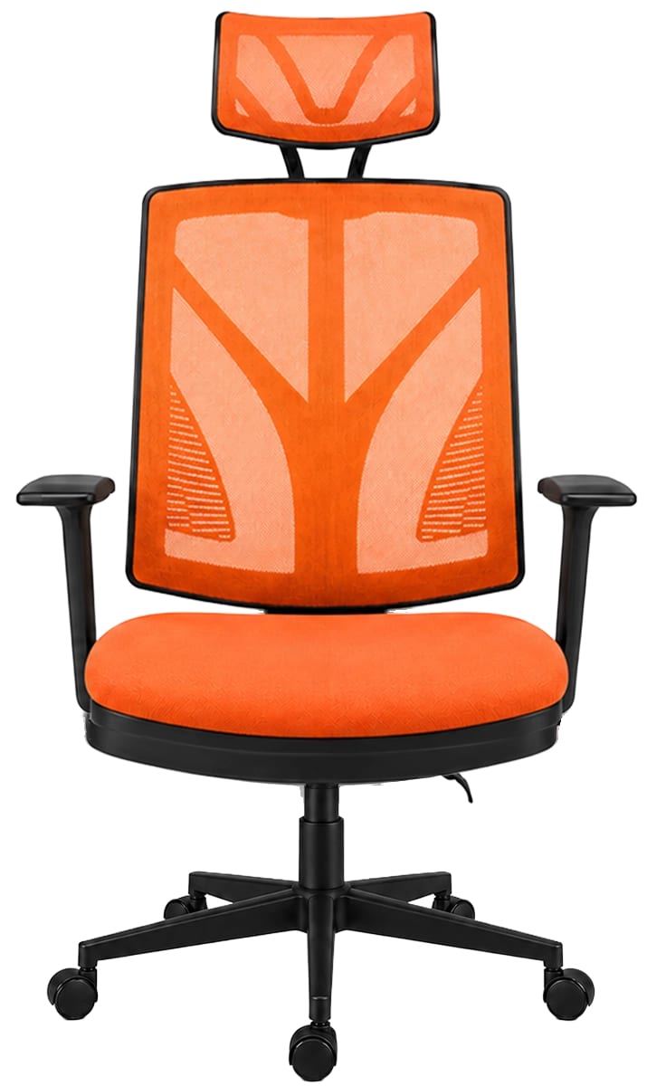 Orda Ofis Berlin Yönetici